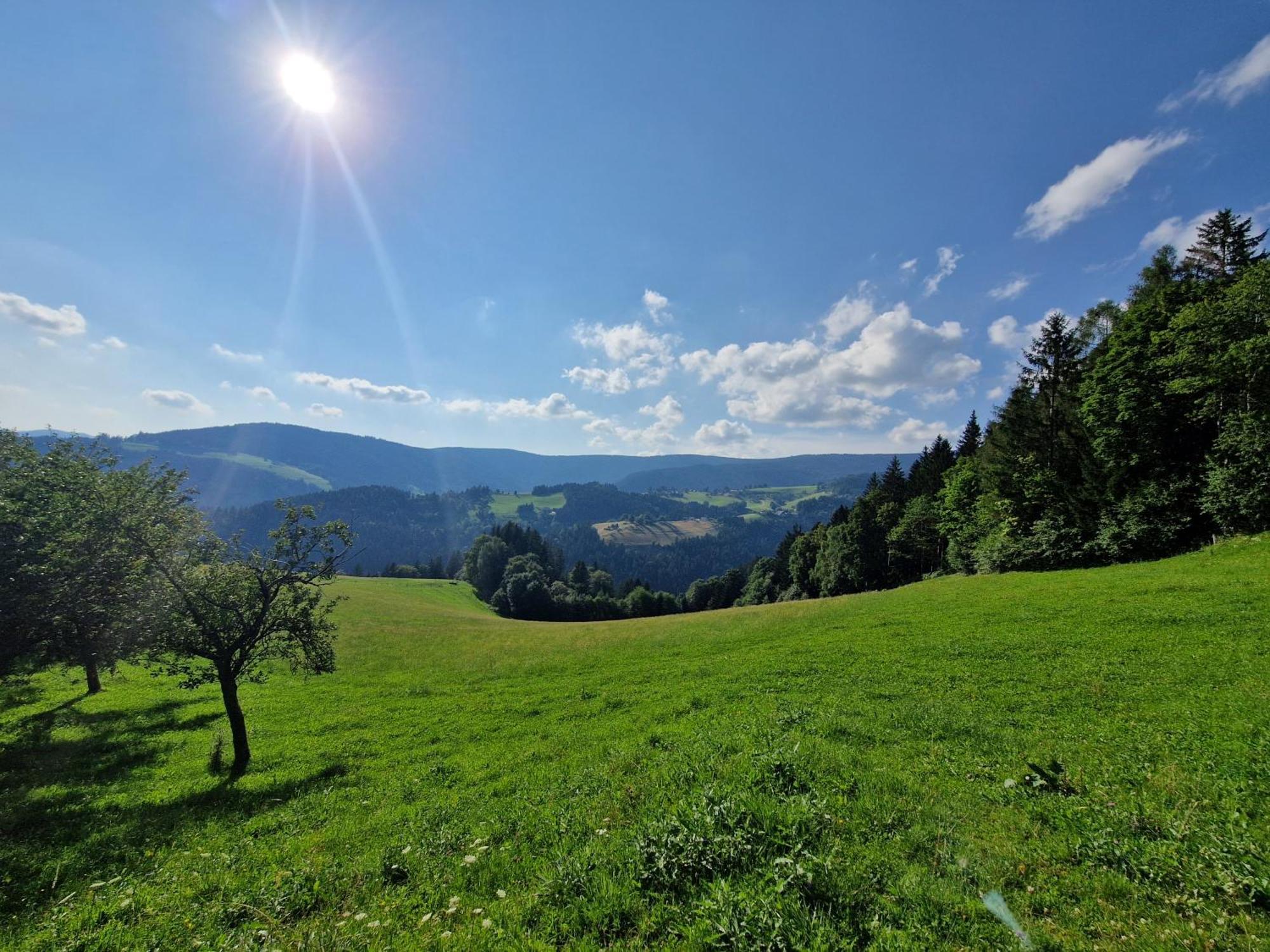 Zreče Turisticna Kmetija Ramsakヴィラ エクステリア 写真